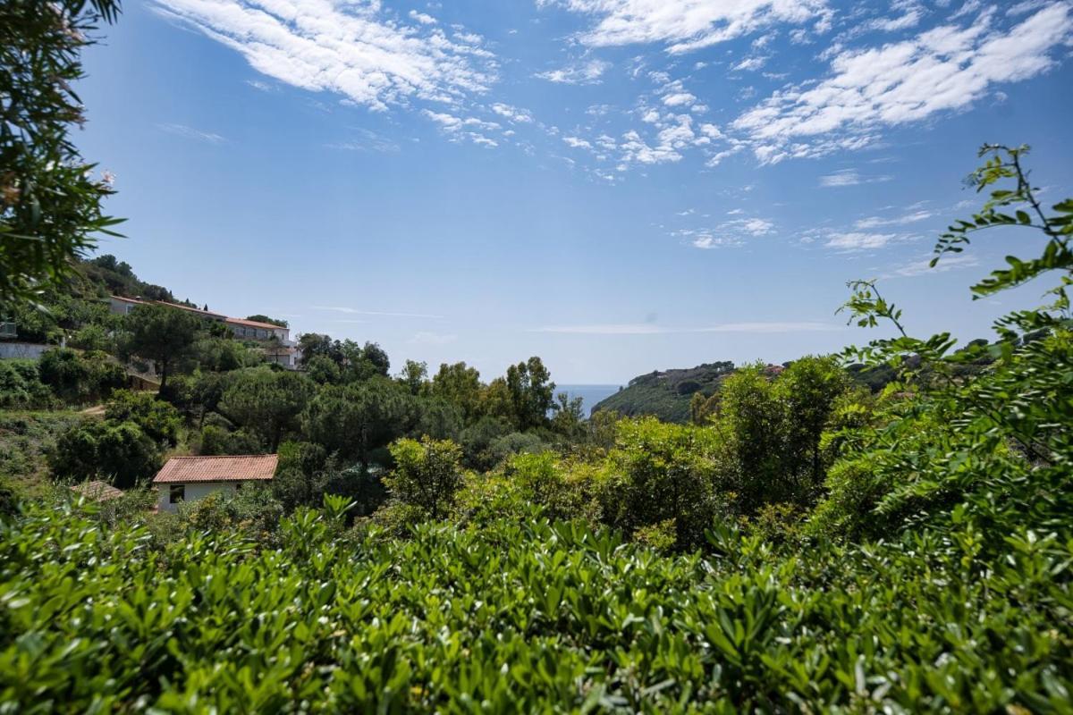 Alloggi Del Mirto A Morcone - Goelba Capoliveri  Exterior foto