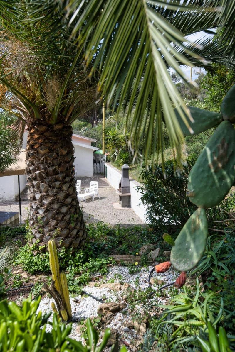 Alloggi Del Mirto A Morcone - Goelba Capoliveri  Exterior foto